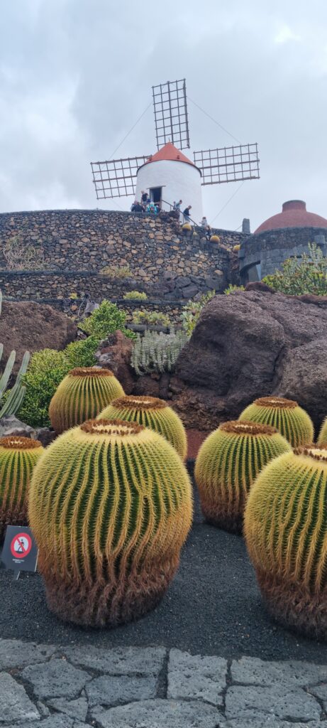 Giardino dei cactus