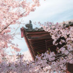 Giappone