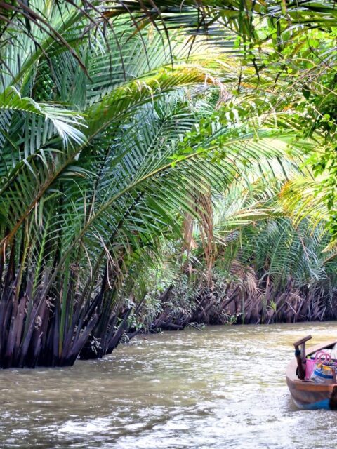 Delta del Mekong - Vietnam